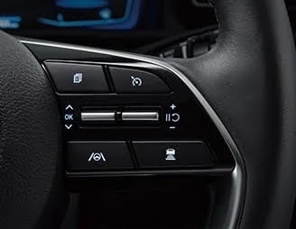 Hyundai Custin