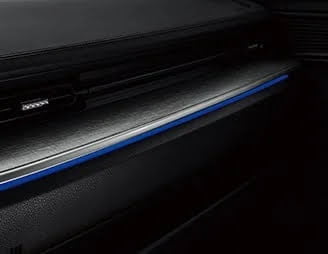 Hyundai Custin
